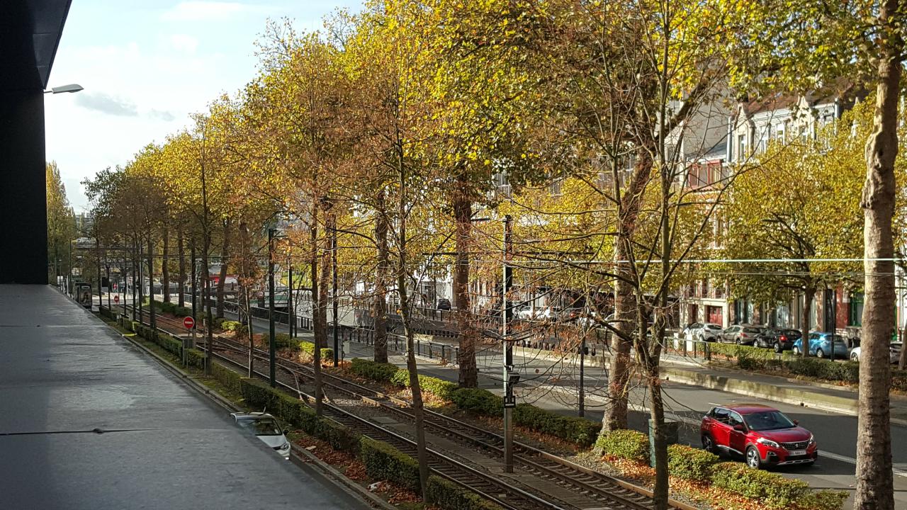 Bureau La Madeleine 732m² Location bureau La Madeleine Nord OLBUR2203433 6